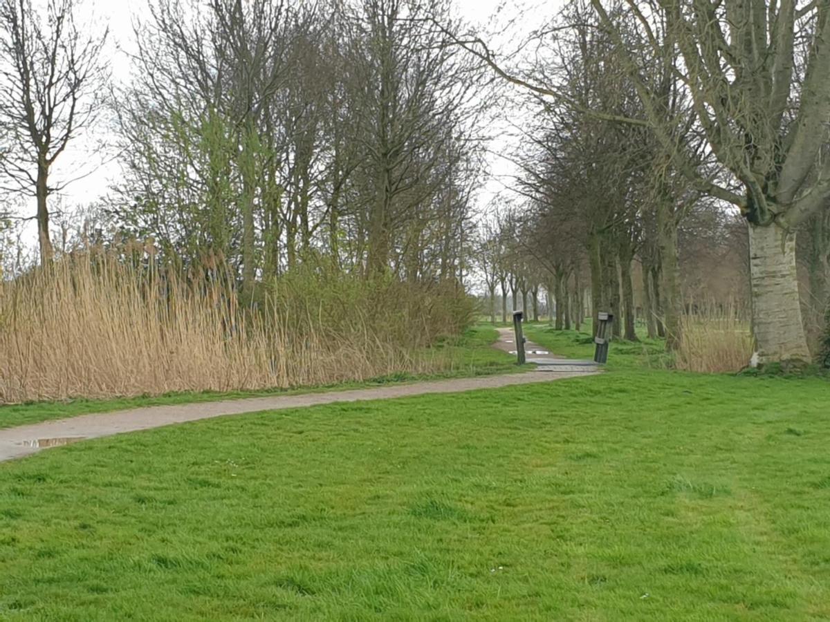 Ruunerwoldse Stekkie Met Eigen Badkamer Ruinerwold Luaran gambar